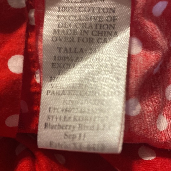 BlueBeri Dress size 24 Months - Picture 4 of 4